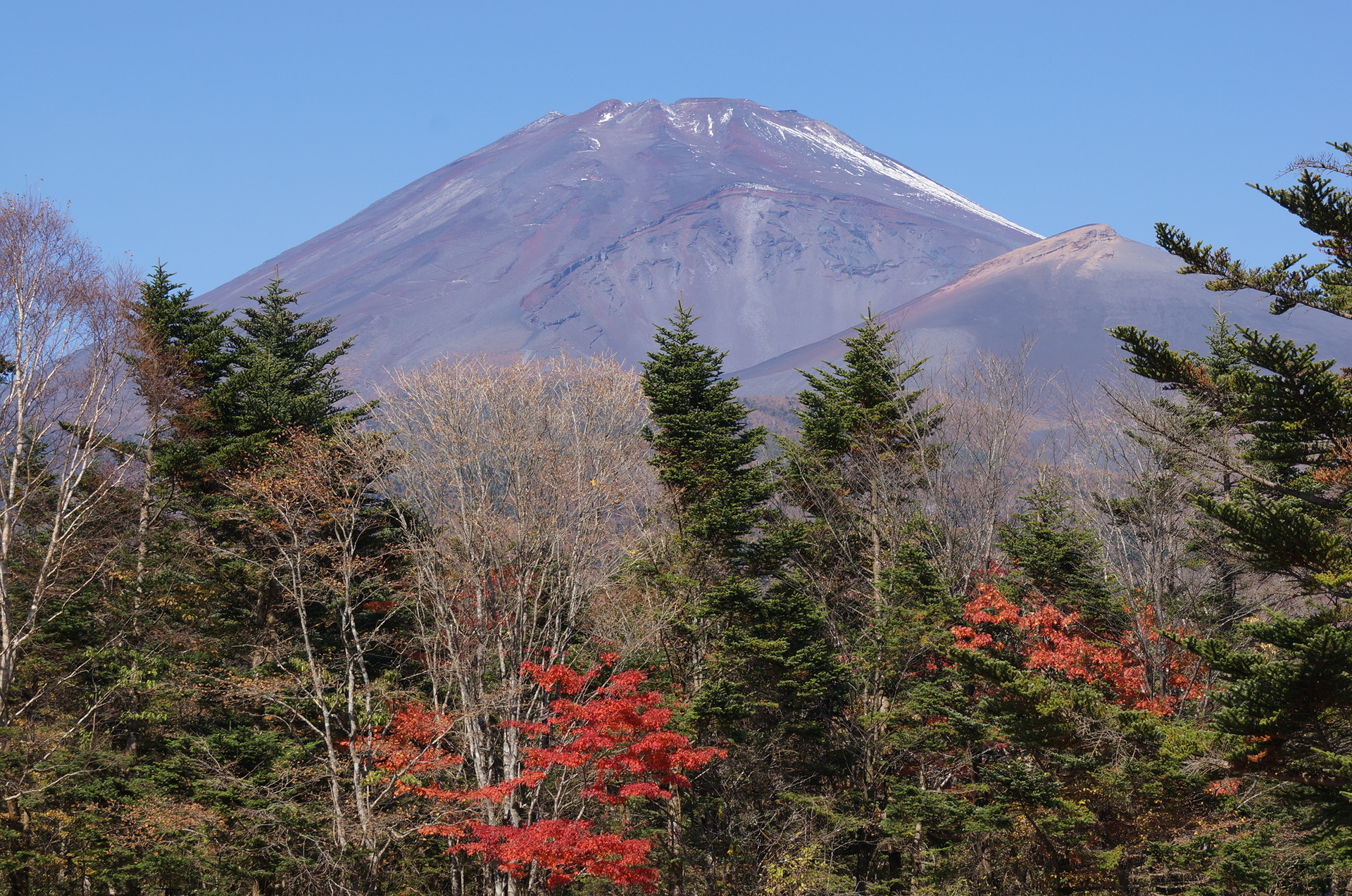 水ヶ塚公園 富士山スカイライン 御殿場 裾野